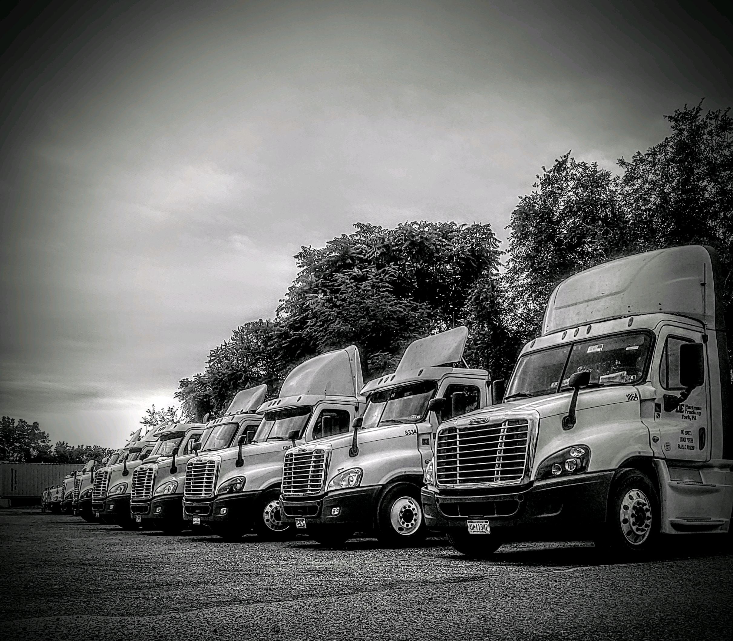 Line of DE Hartman trucks in the yard